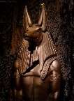 Anubis